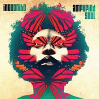 Amplified Soul Incognito