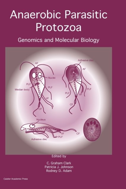 Anaerobic Parasitic Protozoa: Genomics and Molecular Biology ...
