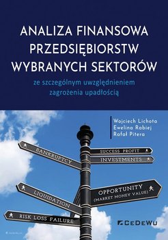 Analiza finansowa przedsiębiorstw wybranych sektorów - Lichota Wojciech, Rabiej Ewelina, Pitera Rafał