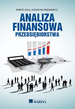 Analiza finansowa przedsiębiorstwa - Golej Robert, Prędkiewicz Katarzyna