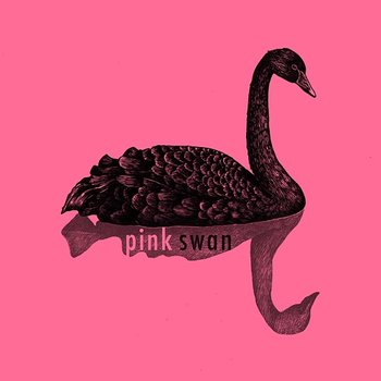Anatidae - Pink Swan