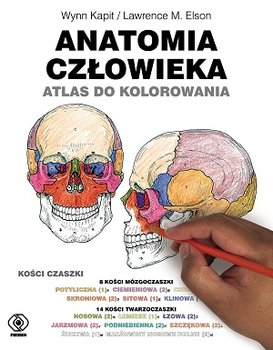 Anatomia człowieka. Atlas do kolorowania - Kapit Wynn, Elson Lowrense M.