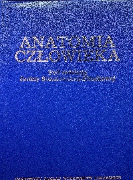 Anatomia człowieka - W opisie | Książka w Empik