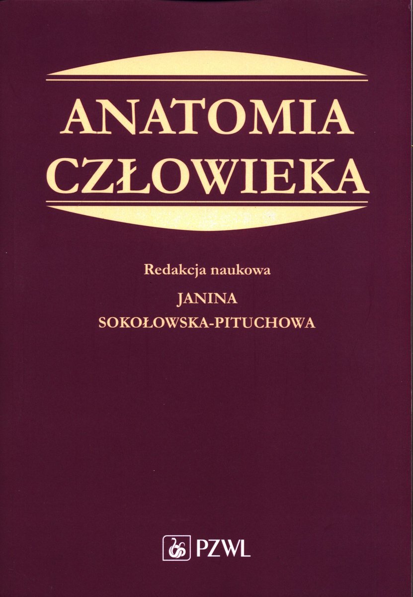 Anatomia Człowieka. Podręcznik Dla Studentów Medycyny - Opracowanie ...