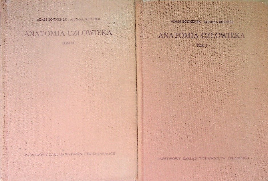 Anatomia człowieka Tom 1 i 2 - Bochenek Adam | Książka w Empik