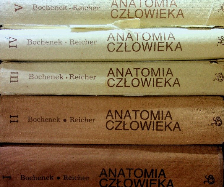 Anatomia Bochenek Tom 1 Pdf