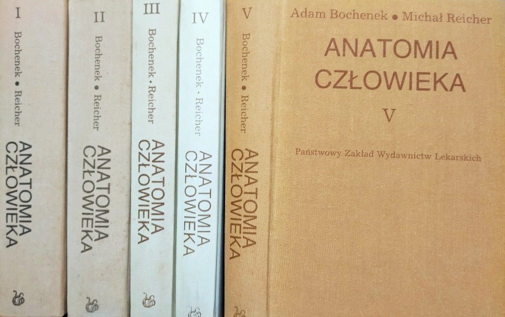 Anatomia człowieka Tom I do V - Bochenek Adam | Książka w Empik