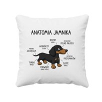 Anatomia jamnika - poduszka na prezent Koszulkowy
