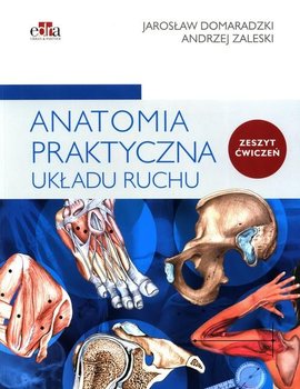 Anatomia praktyczna układu ruchu. Ćwiczenia - Domaradzki J., Zaleski A.