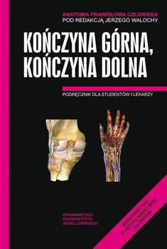 Anatomia prawidłowa człowieka. Kończyna górna, kończyna dolna - Opracowanie zbiorowe
