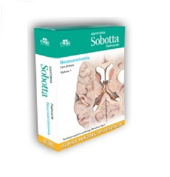 Anatomia Sobotta Flashcards. Neuroanatomia - Brauer L.