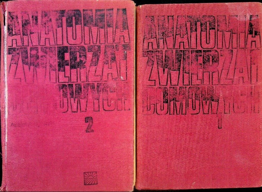 Anatomia zwierząt domowych Tom 1 i 2 - Opracowanie zbiorowe | Książka w