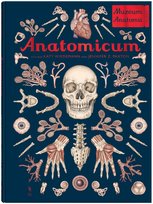 Anatomicum. Muzeum Anatomii Paxton Jennifer Z.