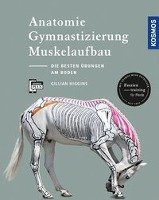 Anatomie, Gymnastizierung, Muskelaufbau - Higgins Gillian