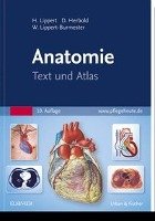 Anatomie - Lippert Herbert, Herbold Desiree, Lippert-Burmester Wunna