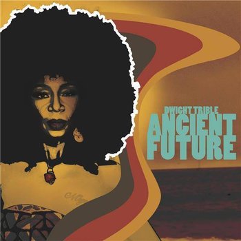 Ancient Future, płyta winylowa - Various Artists