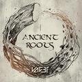 Ancient Roots - VAGET