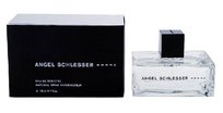angel schlesser homme