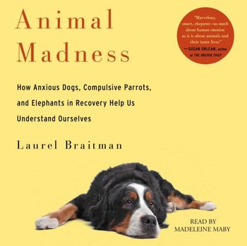Animal Madness - Braitman Laurel