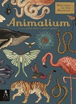 Animalium Broom Jenny