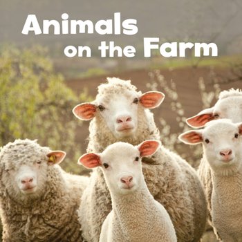 Animals on the Farm - Amstutz Lisa J.