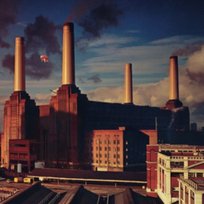 Animals Pink Floyd