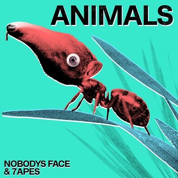 Animals - Nobodys Face & 7apes