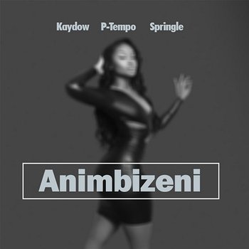 Animbizeni - Kaydow P-Tempo Springle