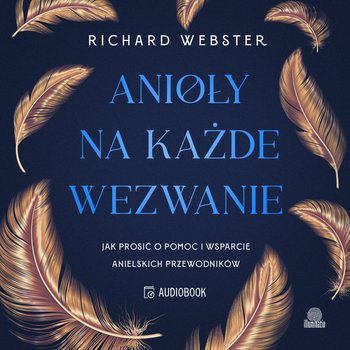 Anioły na każde wezwanie. Jak prosić o pomoc i wsparcie anielskich przewodników - audiobook - Webster Richard