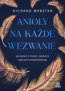 Anioły na każde wezwanie. Jak prosić o pomoc i wsparcie anielskich przewodników - Webster Richard