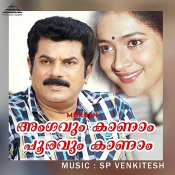 Ankavum Kaanam Pooravum Kaanam (Original Motion Picture Soundtrack) - S.P.Venkitesh