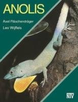 Anolis Flaschendrager Axel, Wijffels Leo