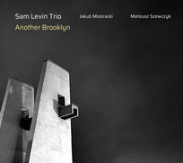Another Brooklyn Sam Levin Trio