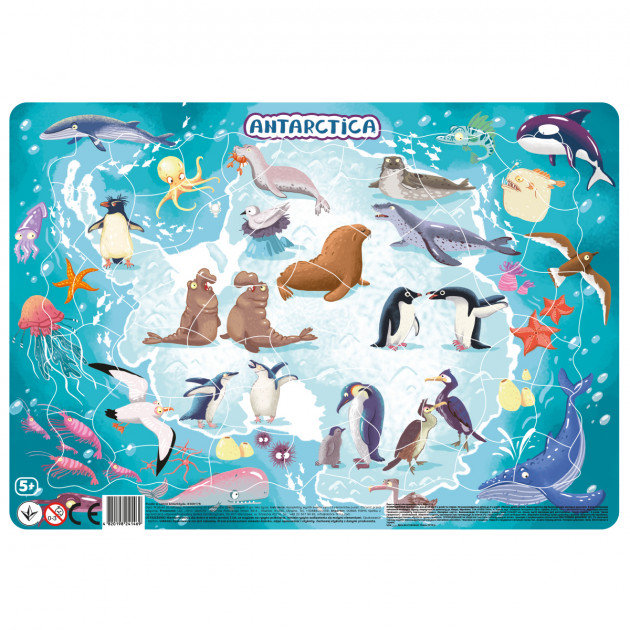 Antarctica, puzzle, Antarktyda, 53 el.
