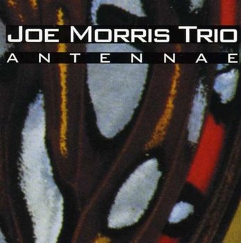 Antennae - Morris Joe