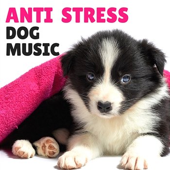 Anti Stress Dog Music – Anti Anxiety Calming Nature Sounds for Pets Therapy, Natural Sleeping Remedies, Piano Instrumental Background - Anti Stress Dog Music