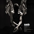 Antidepressants (Deluxe Cd) - Suede