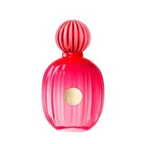 antonio banderas the icon for women