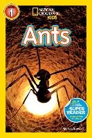 Ants Stewart Melissa