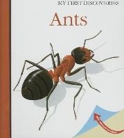Ants - Mettler Rene