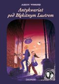 Antykwariat pod Błękitnym Lustrem. Dawid i Larisa. Tom 1 - Widmark Martin