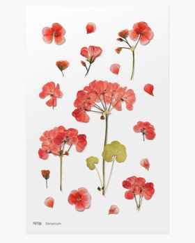 Appree, naklejki ozdobne kwiaty, Geranium - Appree