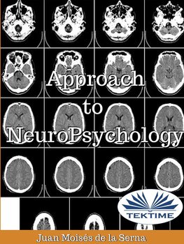 Approach To Neuropsychology - Juan Moises de la Serna