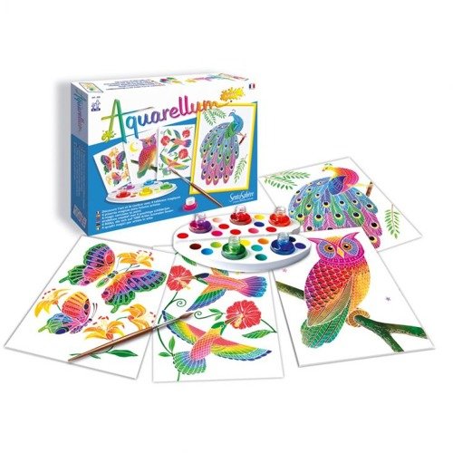 Aquarellum Junior W Parku 4 Obrazy I Farby