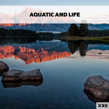 Aquatic And Life XXII - Various Artists