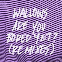 Are You Bored Yet? Wallows feat. Clairo