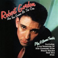 Are You Gonna Be the One (Bonus Tracks) Robert Gordon