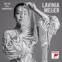 Are You Still Somewhere? Lavinia Meijer
