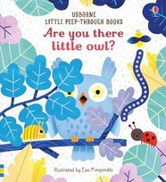Are you there little Owl? Taplin Sam