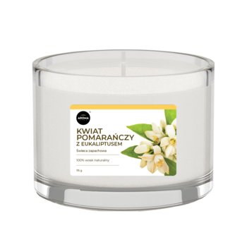 Aroma Home Basic, świeca zapachowa, Kwiat pomarańczy z eukaliptusem, 115 g - MTM Industries